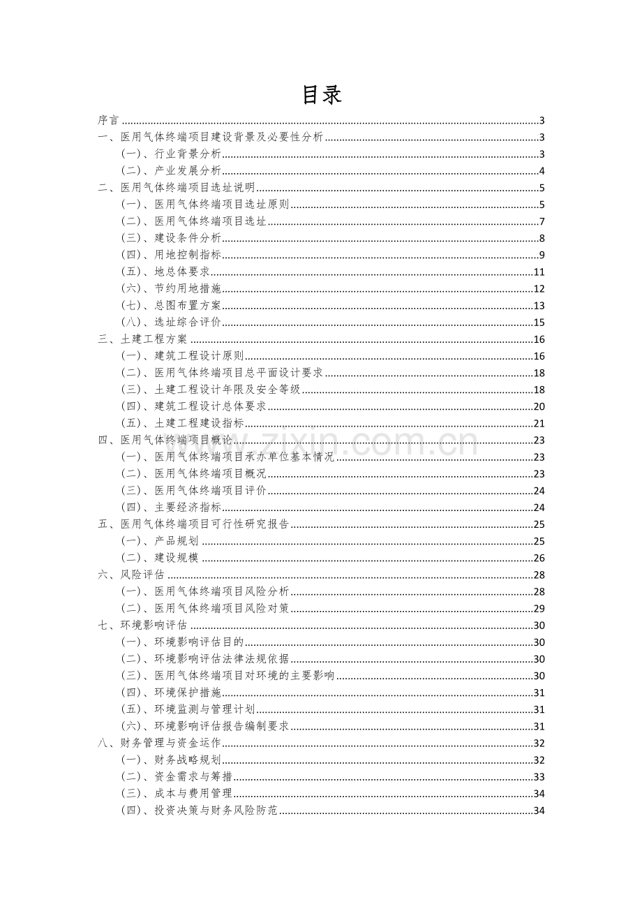 医用气体终端项目可行性分析报告.docx_第2页