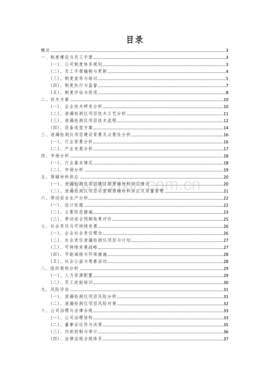 泄漏检测仪项目可行性分析报告.docx_第2页