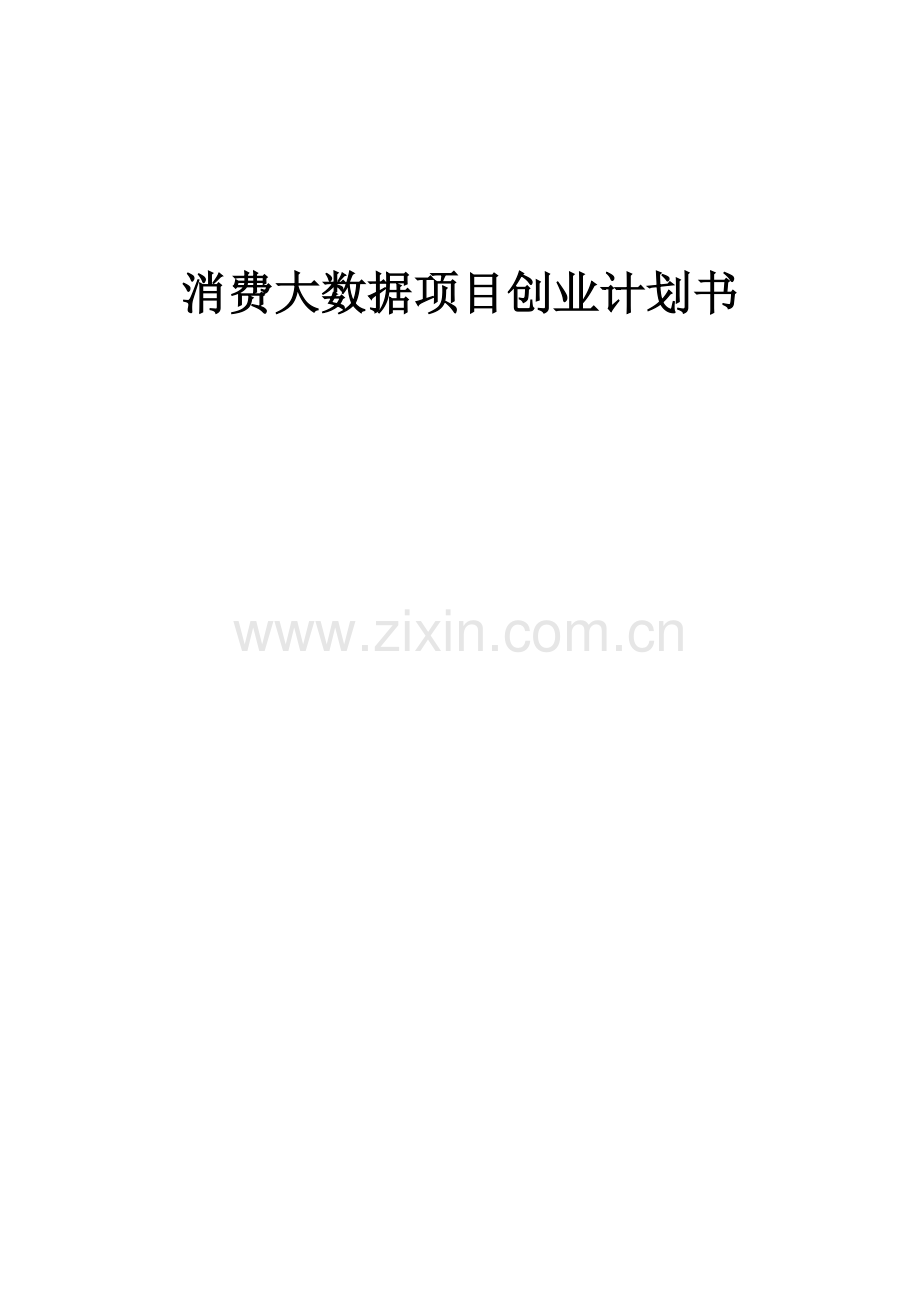 消费大数据项目创业计划书.docx_第1页