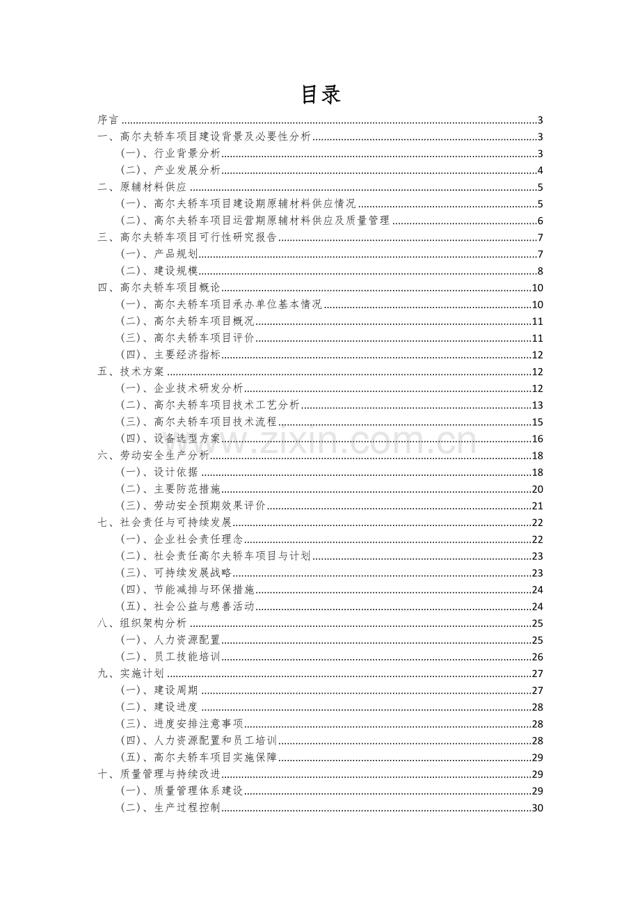 高尔夫轿车项目商业计划书.docx_第2页