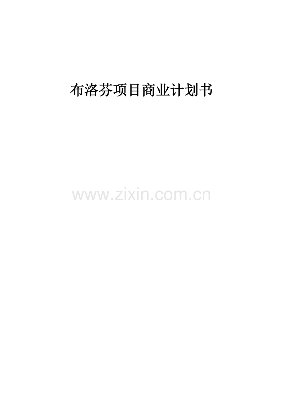 布洛芬项目商业计划书.docx_第1页