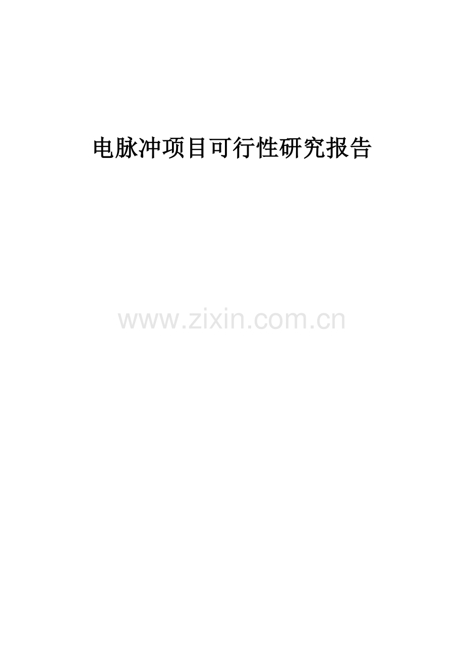 电脉冲项目可行性研究报告.docx_第1页