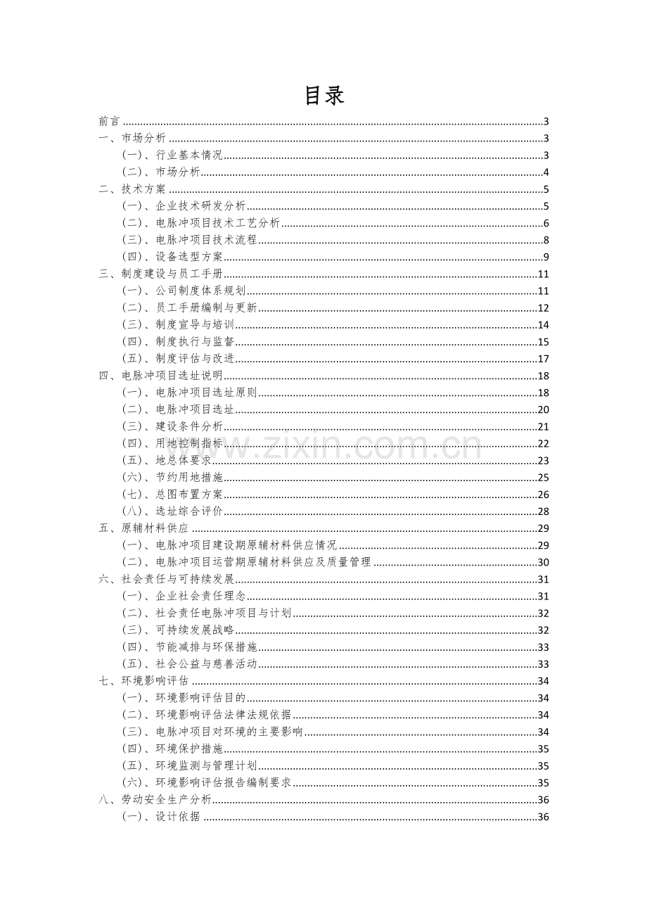 电脉冲项目可行性研究报告.docx_第2页