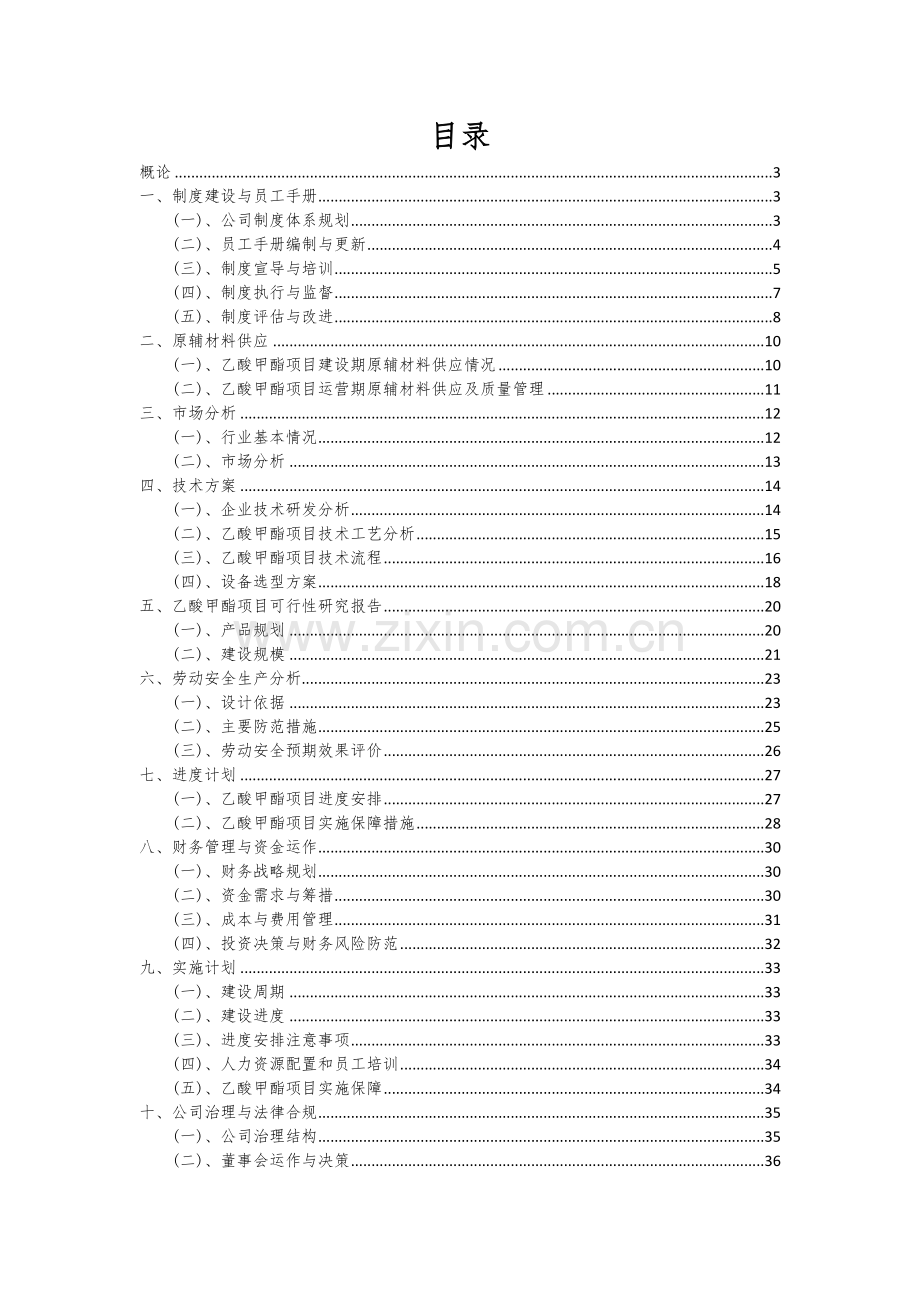 乙酸甲酯项目可行性分析报告.docx_第2页