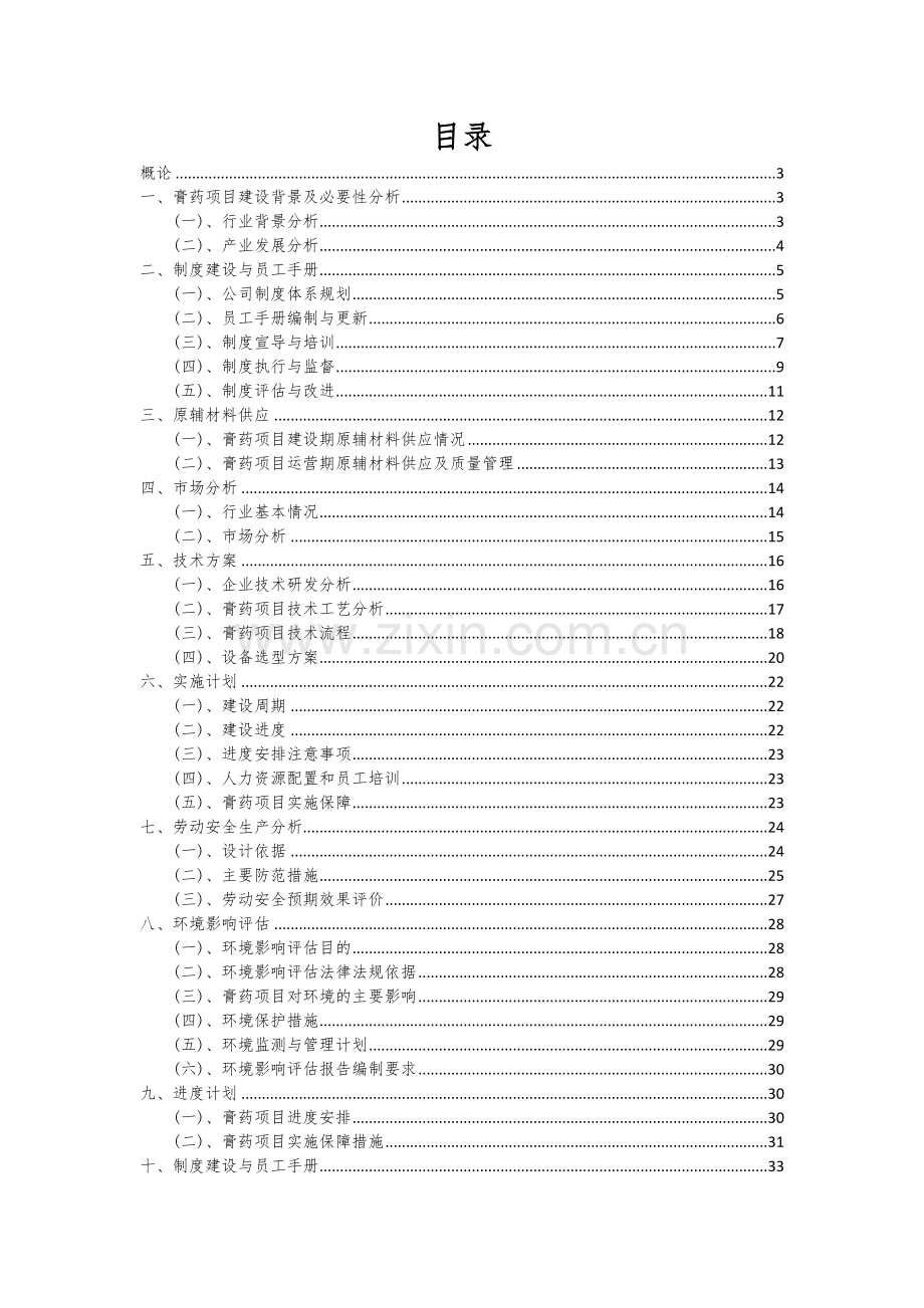 膏药项目可行性分析报告.docx_第2页