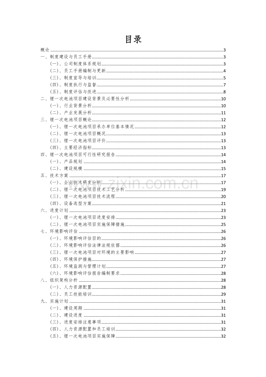 锂一次电池项目可行性研究报告.docx_第2页