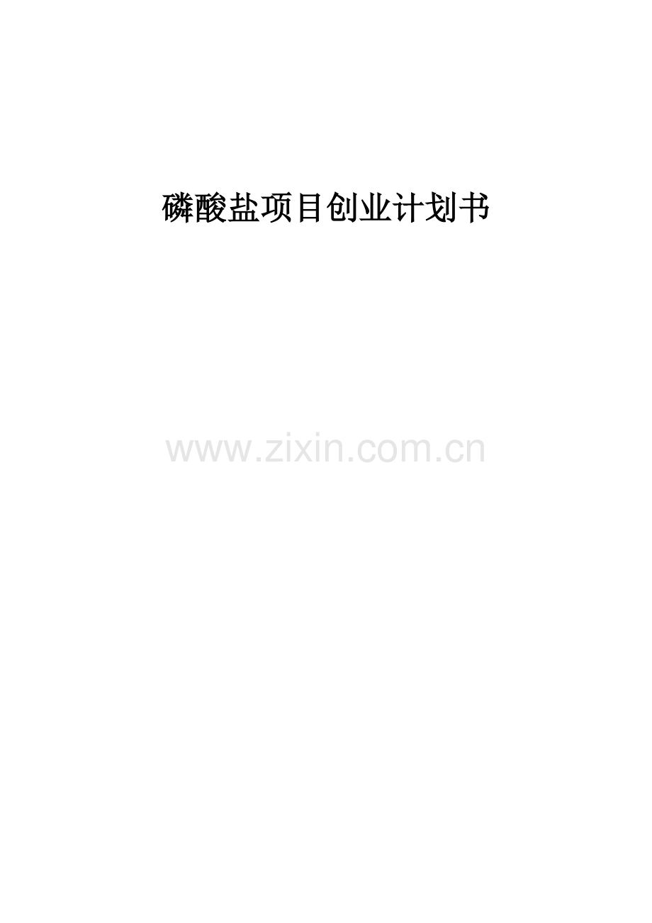 磷酸盐项目创业计划书.docx_第1页