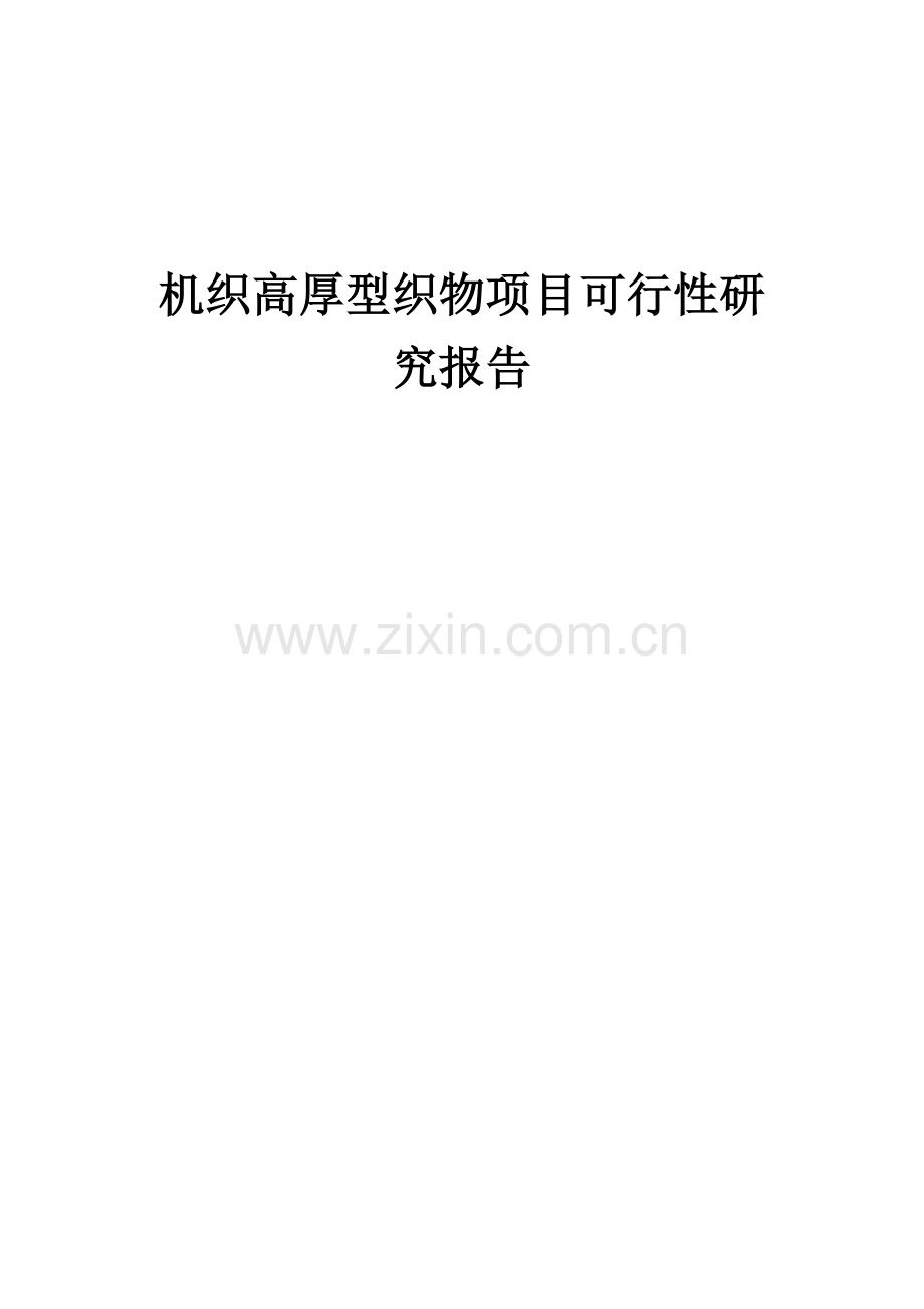 机织高厚型织物项目可行性研究报告.docx_第1页