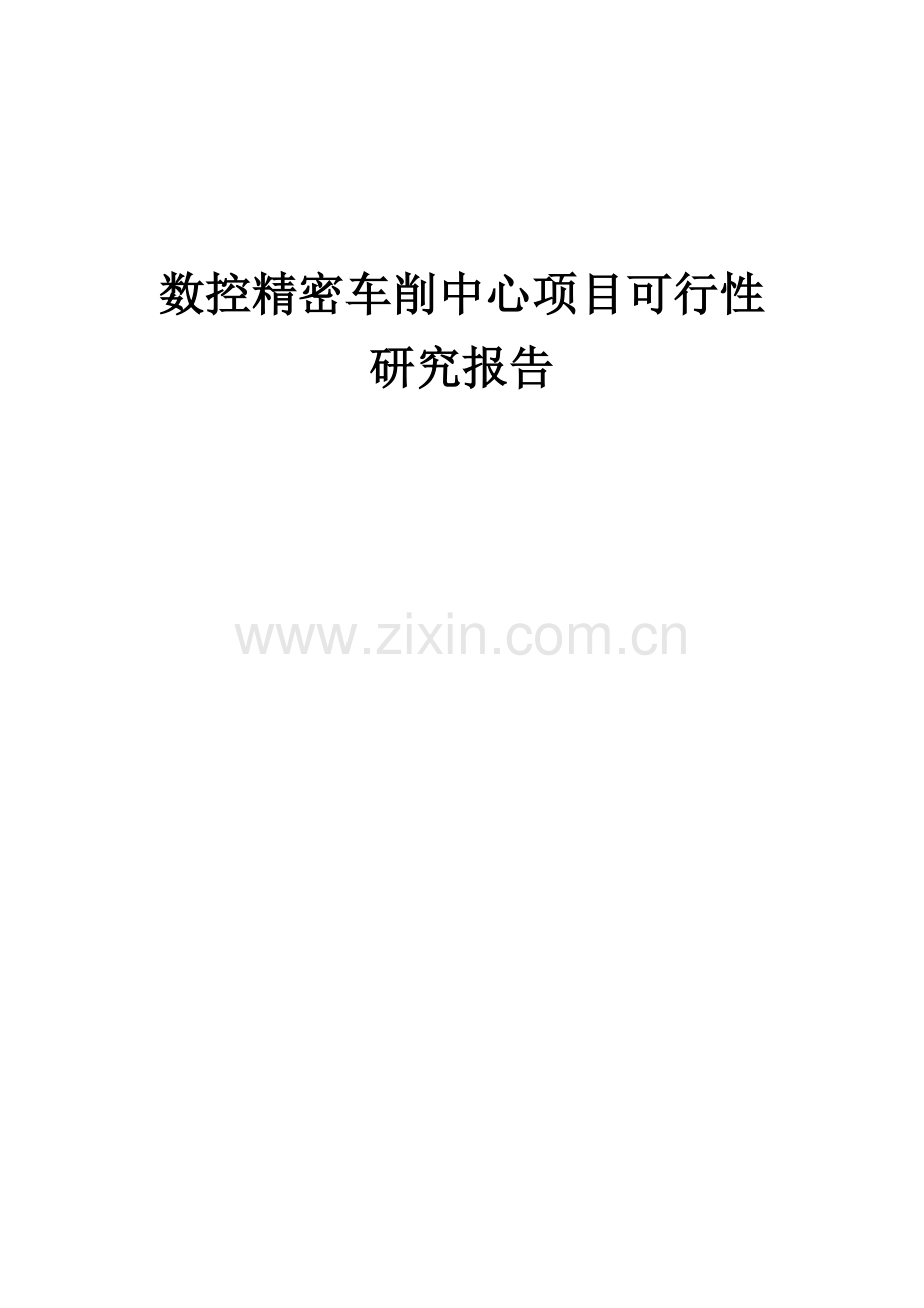 数控精密车削中心项目可行性研究报告.docx_第1页
