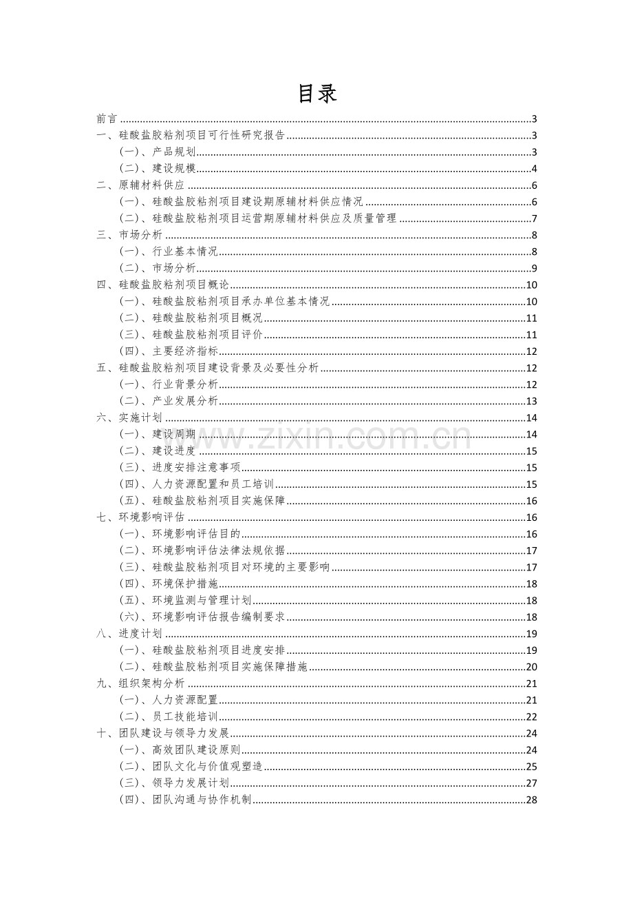 硅酸盐胶粘剂项目创业计划书.docx_第2页