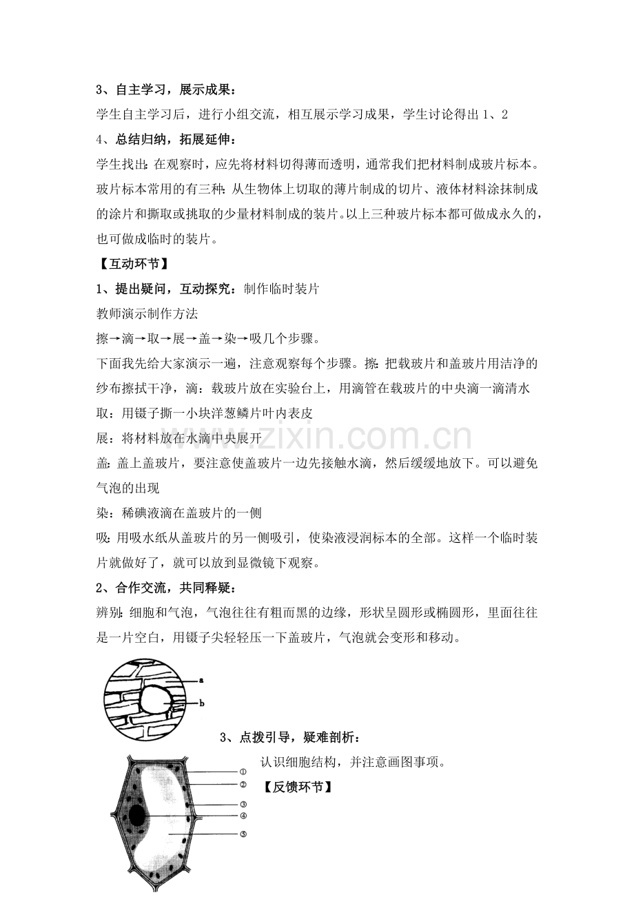第二节观察植物细胞.doc_第2页