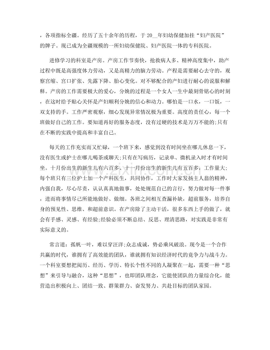 护士个人总结优秀范文800字.docx_第2页