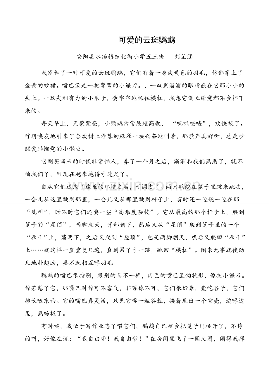 可爱的云斑鹦鹉.doc_第1页