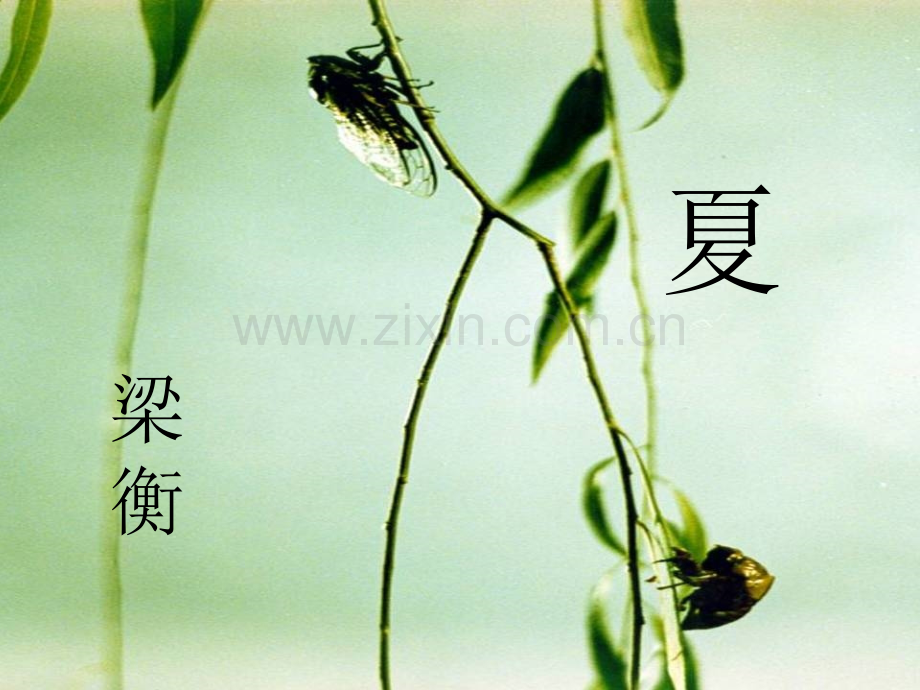 初中一年级语文下册第一课时课件.ppt_第1页