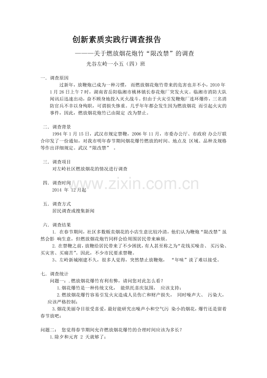 创新素质实践行调查报告.docx_第1页
