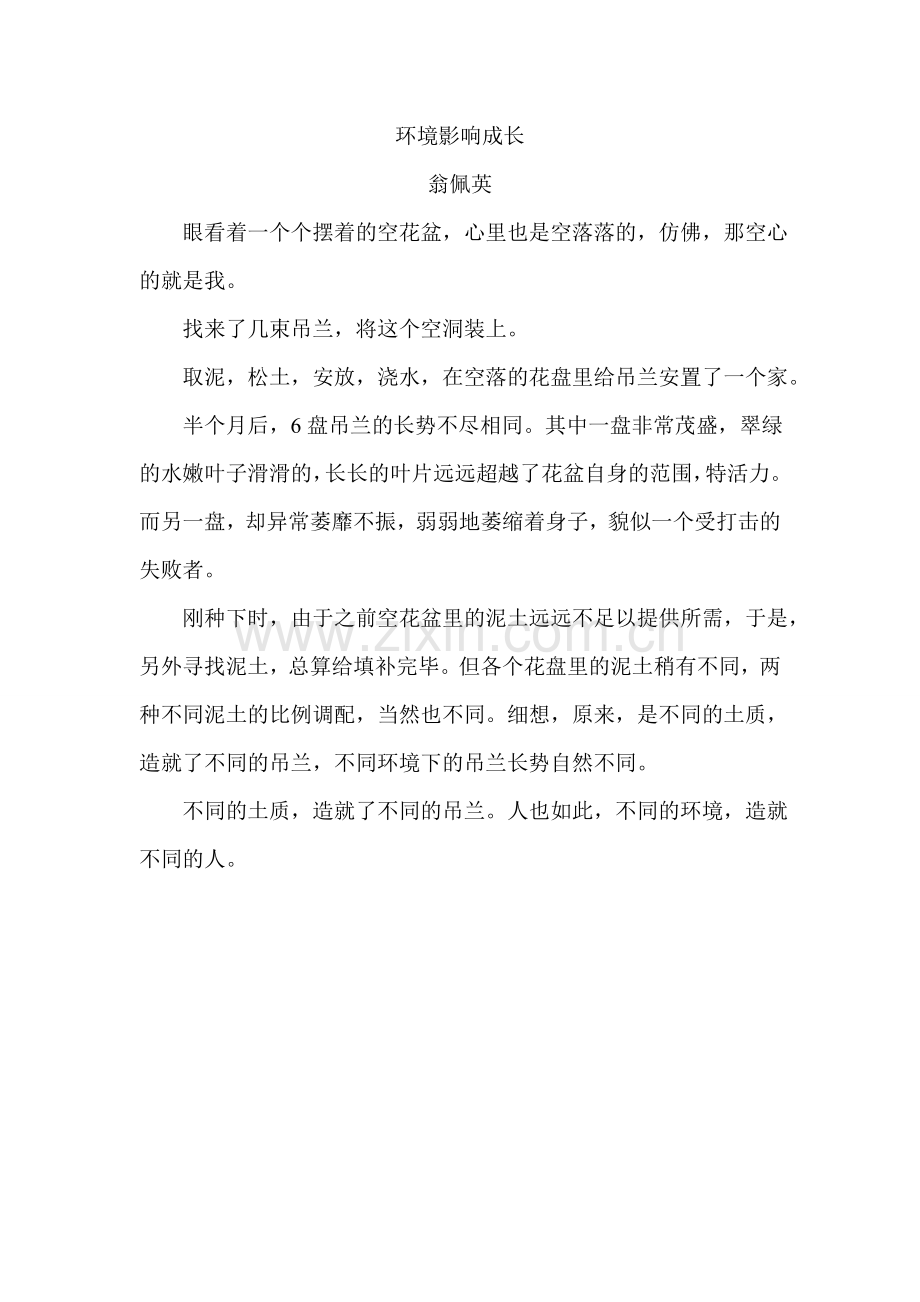 环境影响成长.doc_第1页