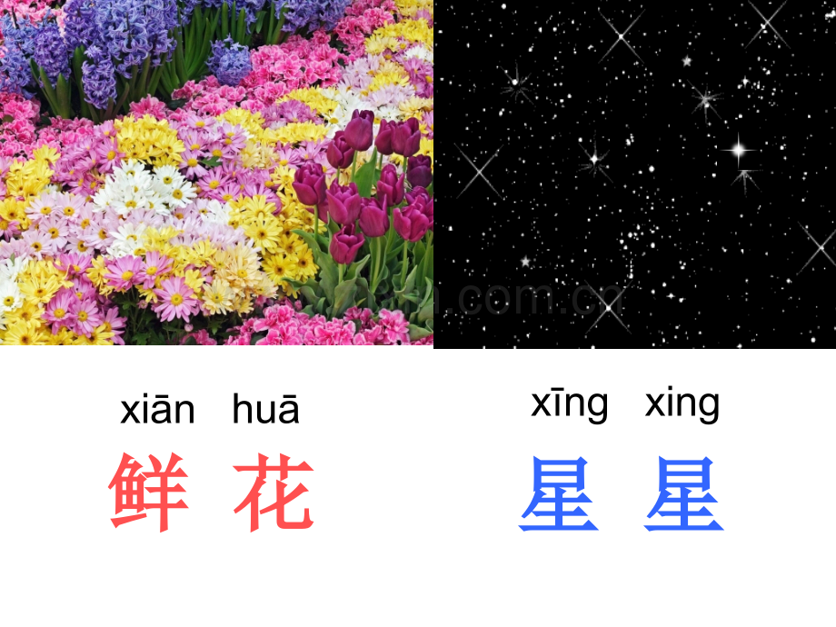 鲜花和星星第一课时.ppt_第1页