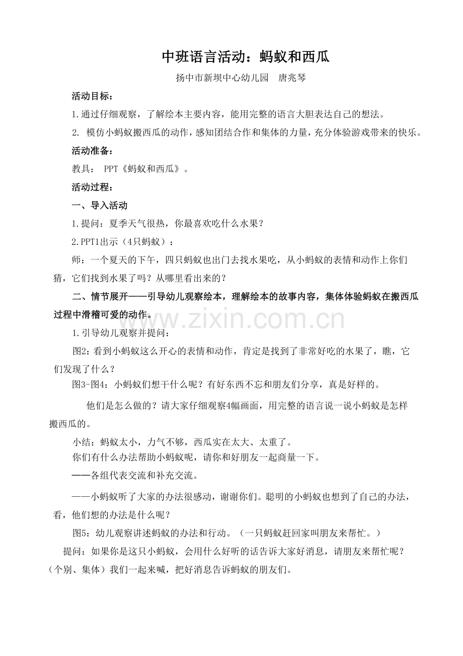中班语言活动蚂蚁和西瓜.doc_第1页