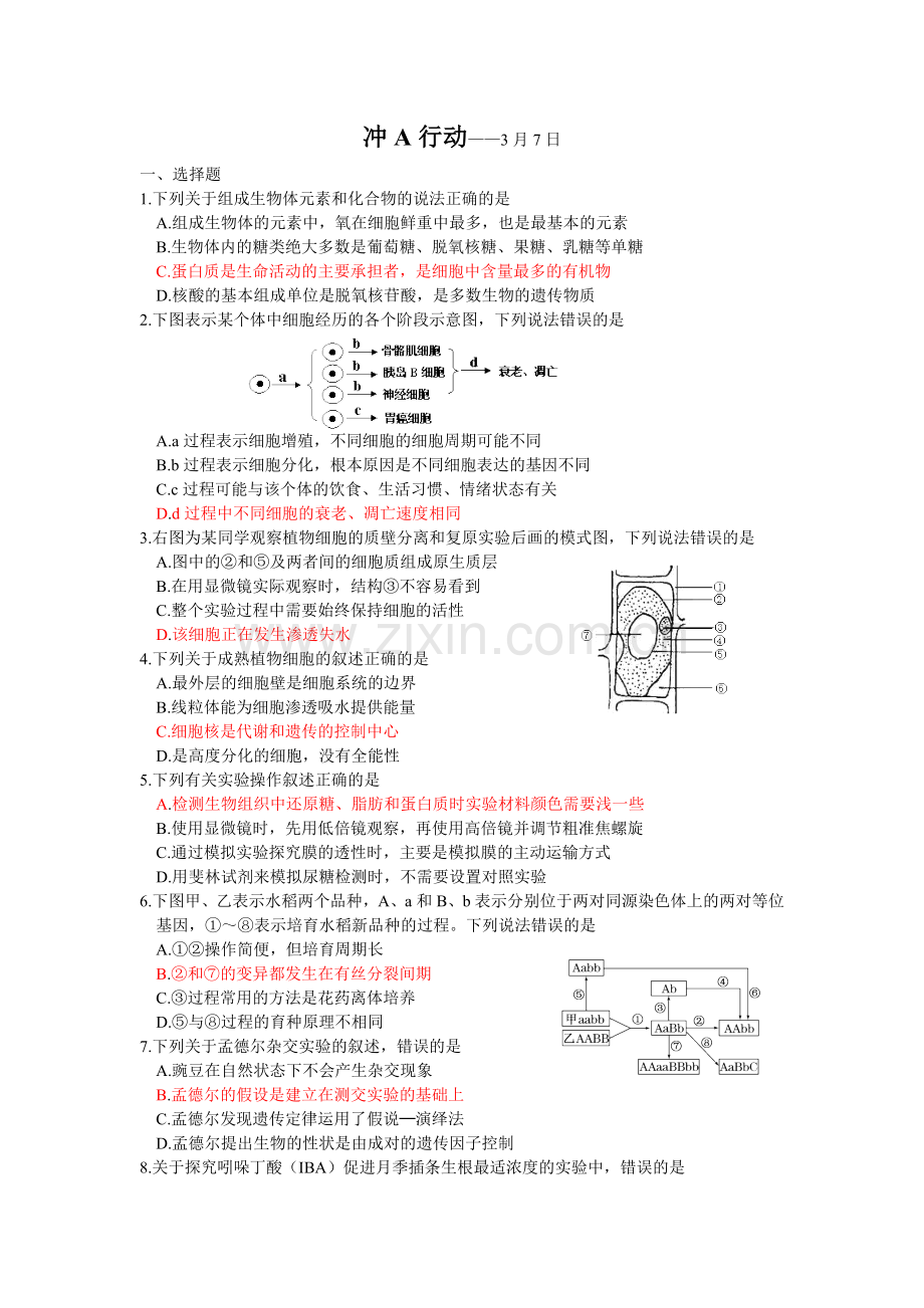 小高考冲A行动.doc_第1页