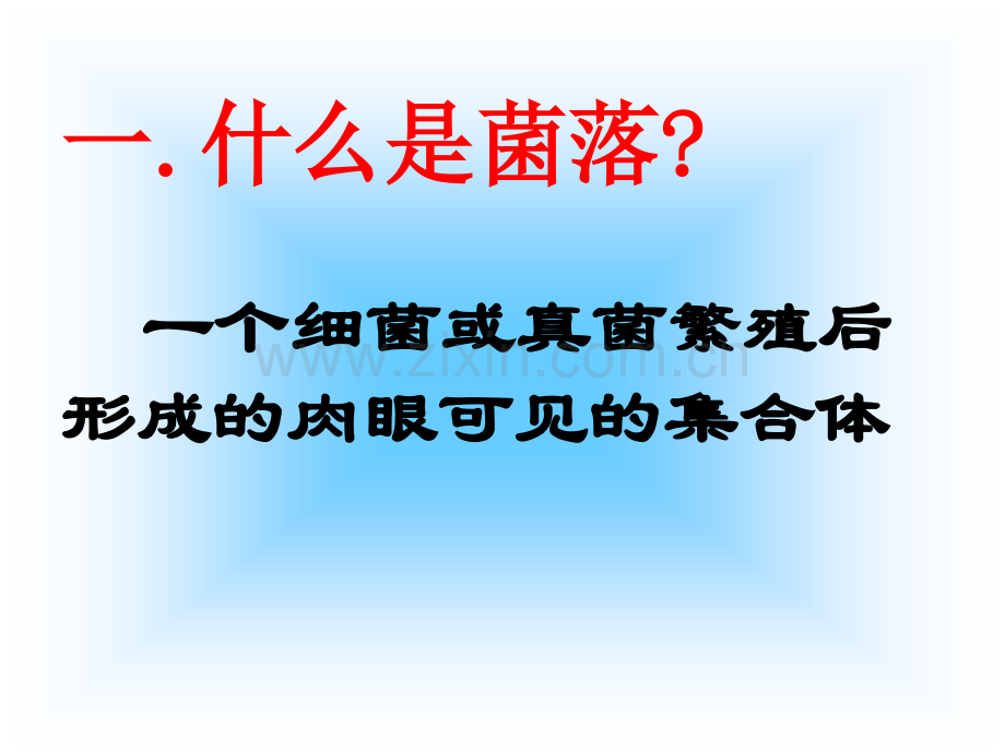 细菌分布-复件.ppt_第2页