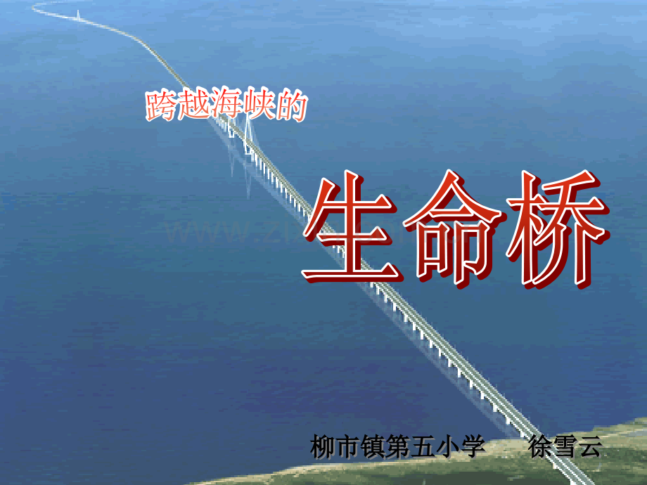 视频版跨越海峡的生命桥课件_PPT.ppt_第1页