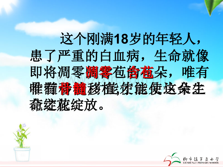 视频版跨越海峡的生命桥课件_PPT.ppt_第2页