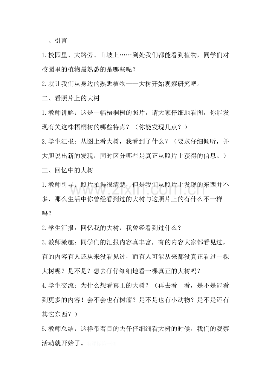 看到了什么教案.docx_第2页