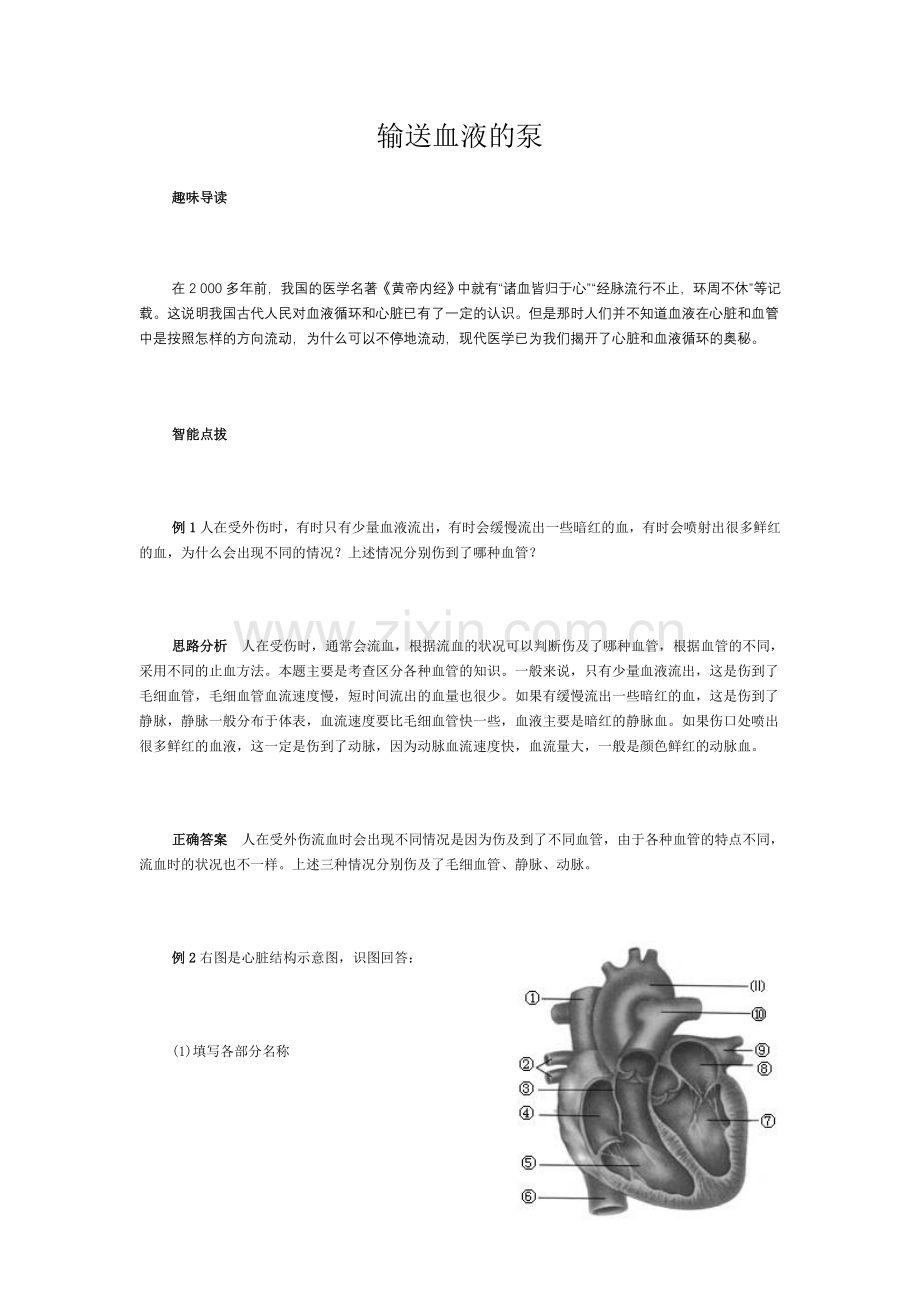 输送血液的泵.doc_第1页