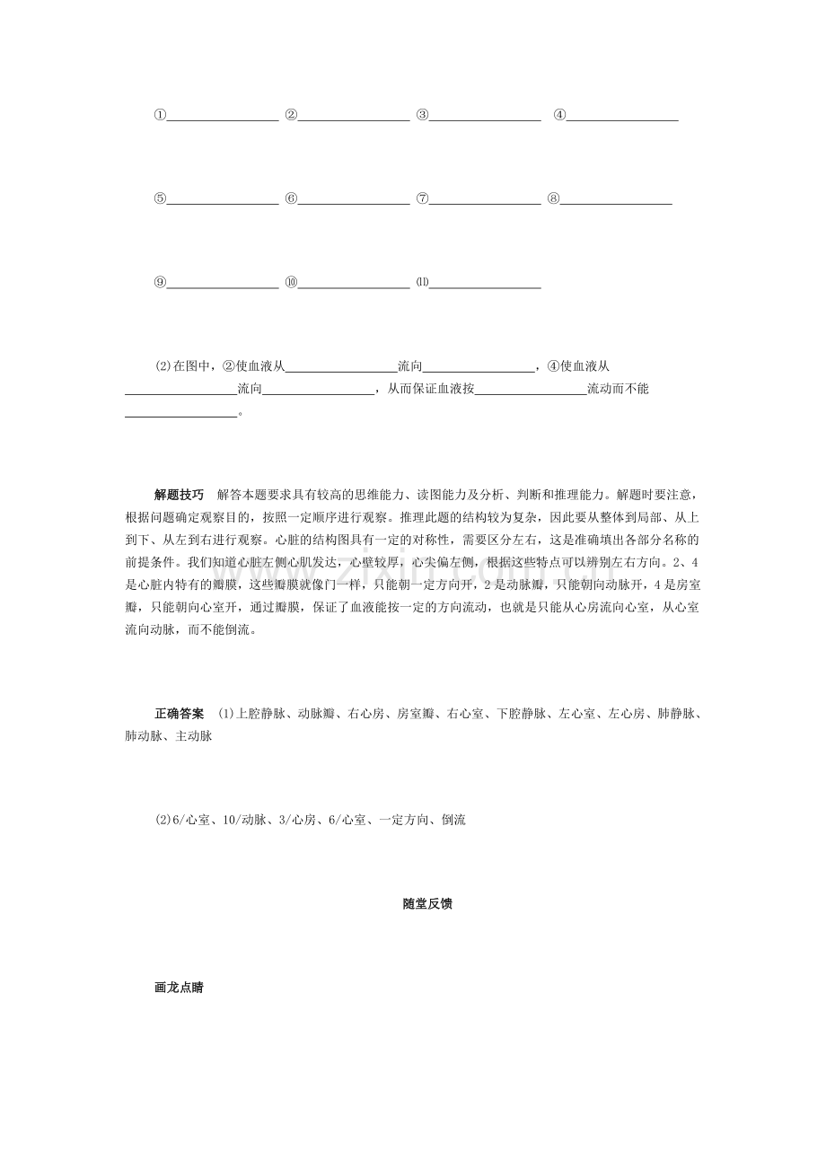 输送血液的泵.doc_第2页