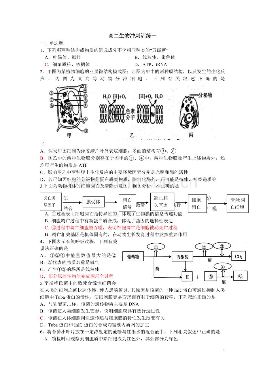 高二生物综合训练四.doc_第1页