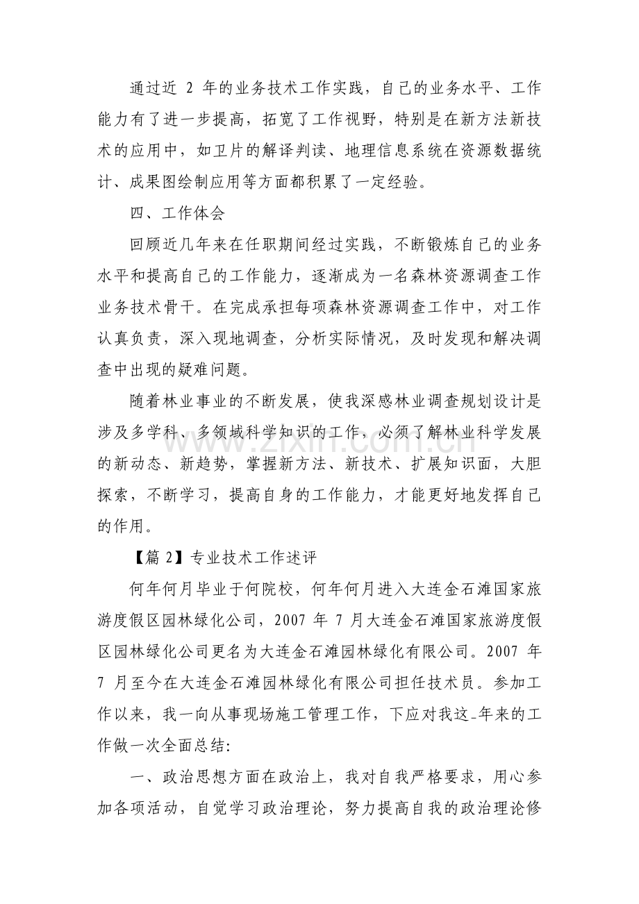 专业技术工作述评范文四篇.pdf_第2页