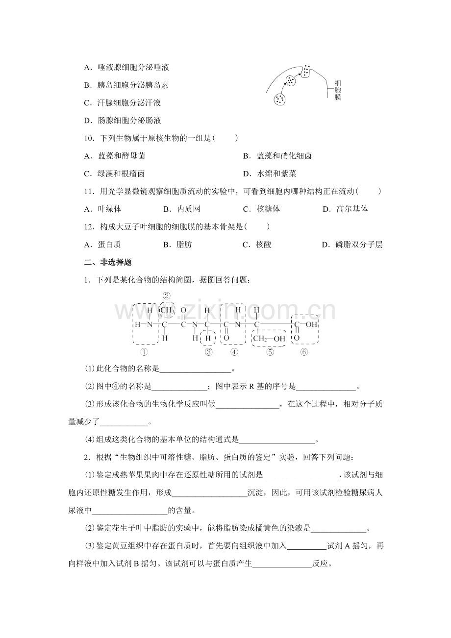 新课标人教版高中生物必修一分子与细胞教科书配套试题：期中测试题(word版含答案解析）.doc_第2页