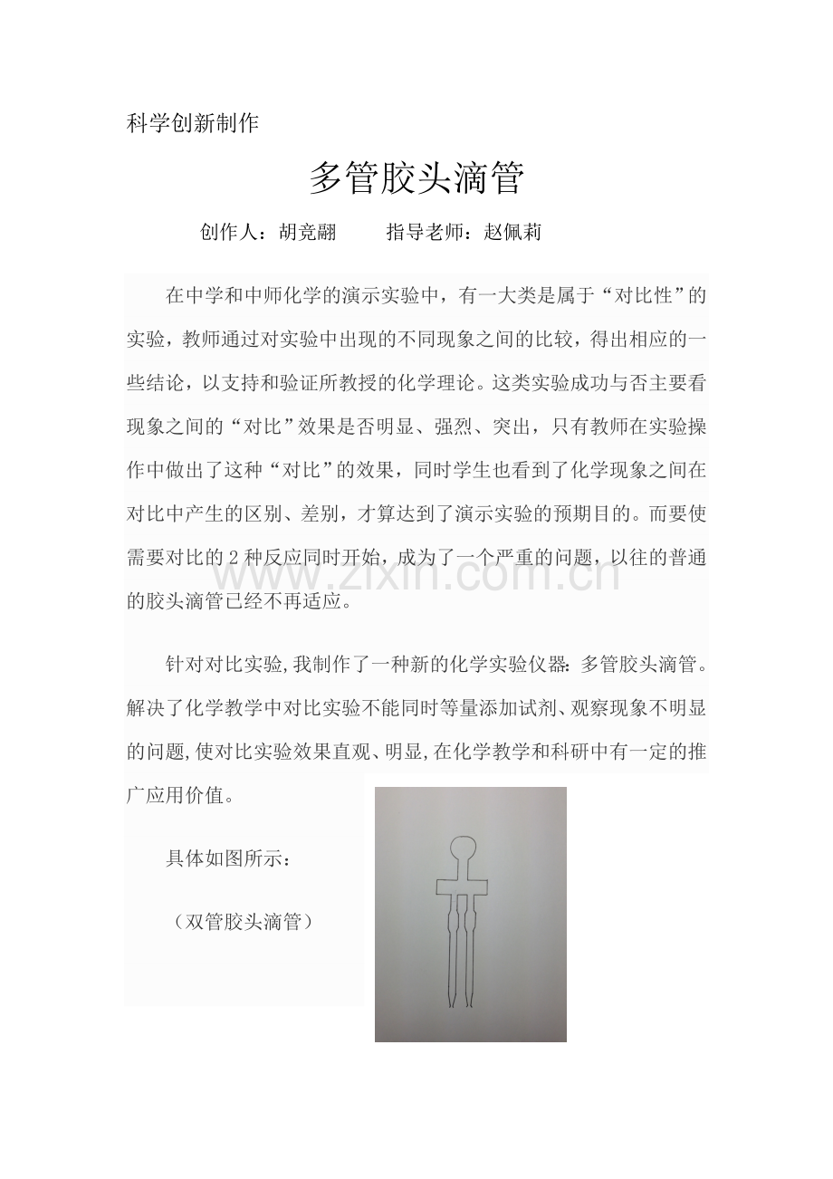 科学多管胶头滴管.doc_第1页