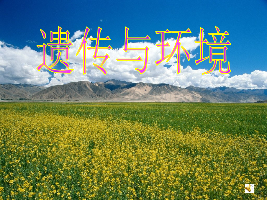第五节遗传与环境.ppt_第1页