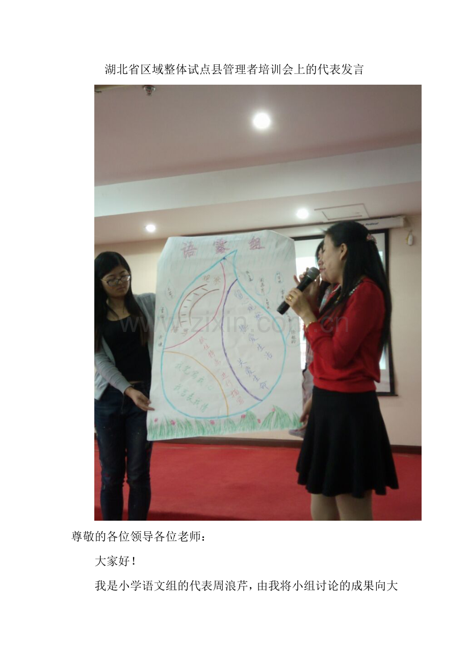 湖北省区域整体试点县管理者培训会上的发言.doc_第1页