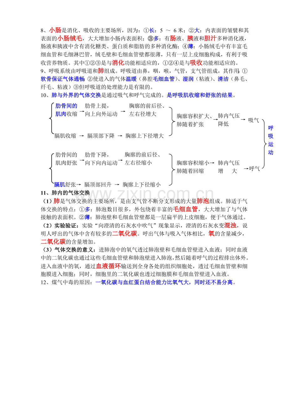 生物复习知识点(初一下).doc_第2页
