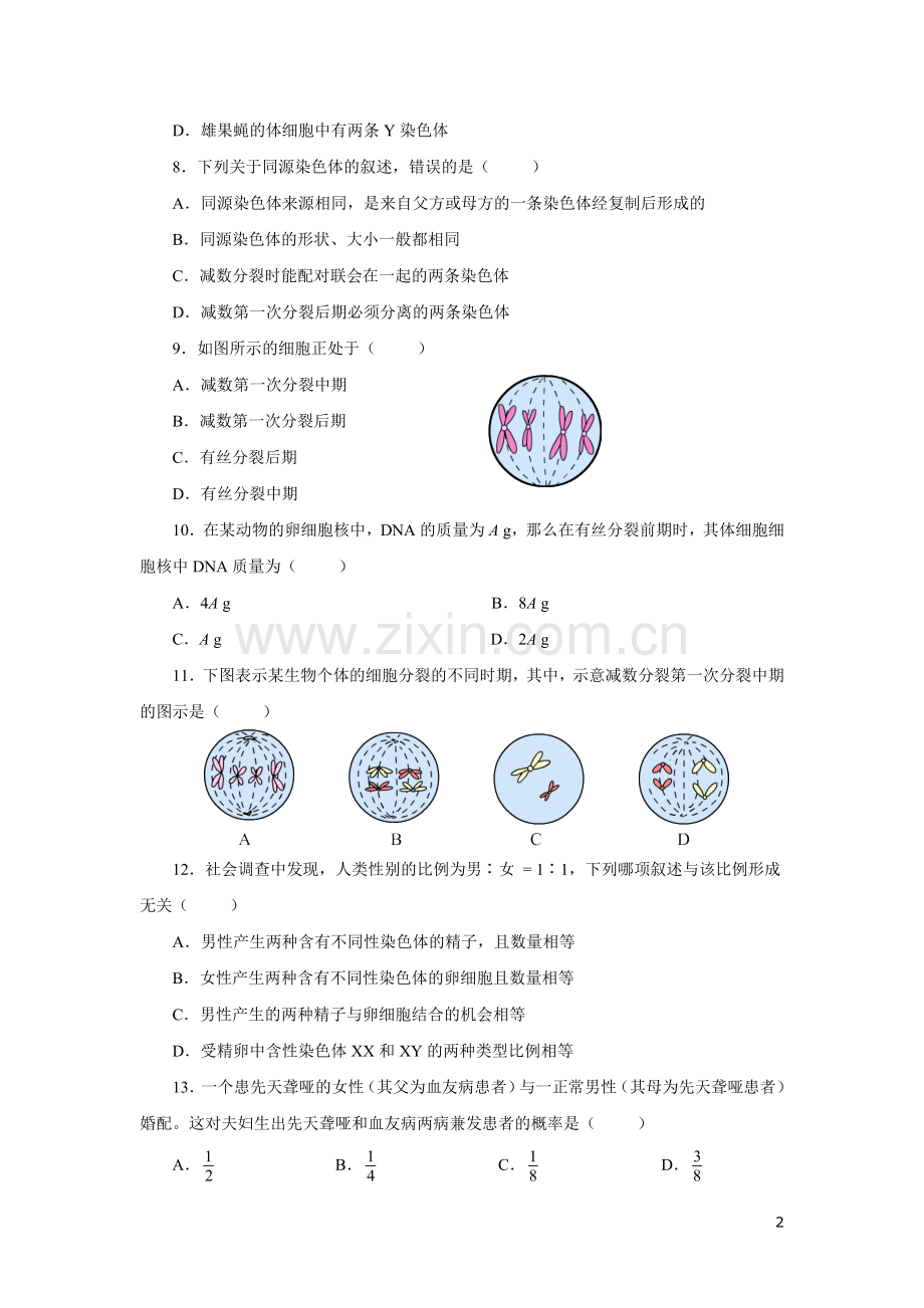 高中生物_必修二_基因和染色体的关系测试题及答案.doc_第2页