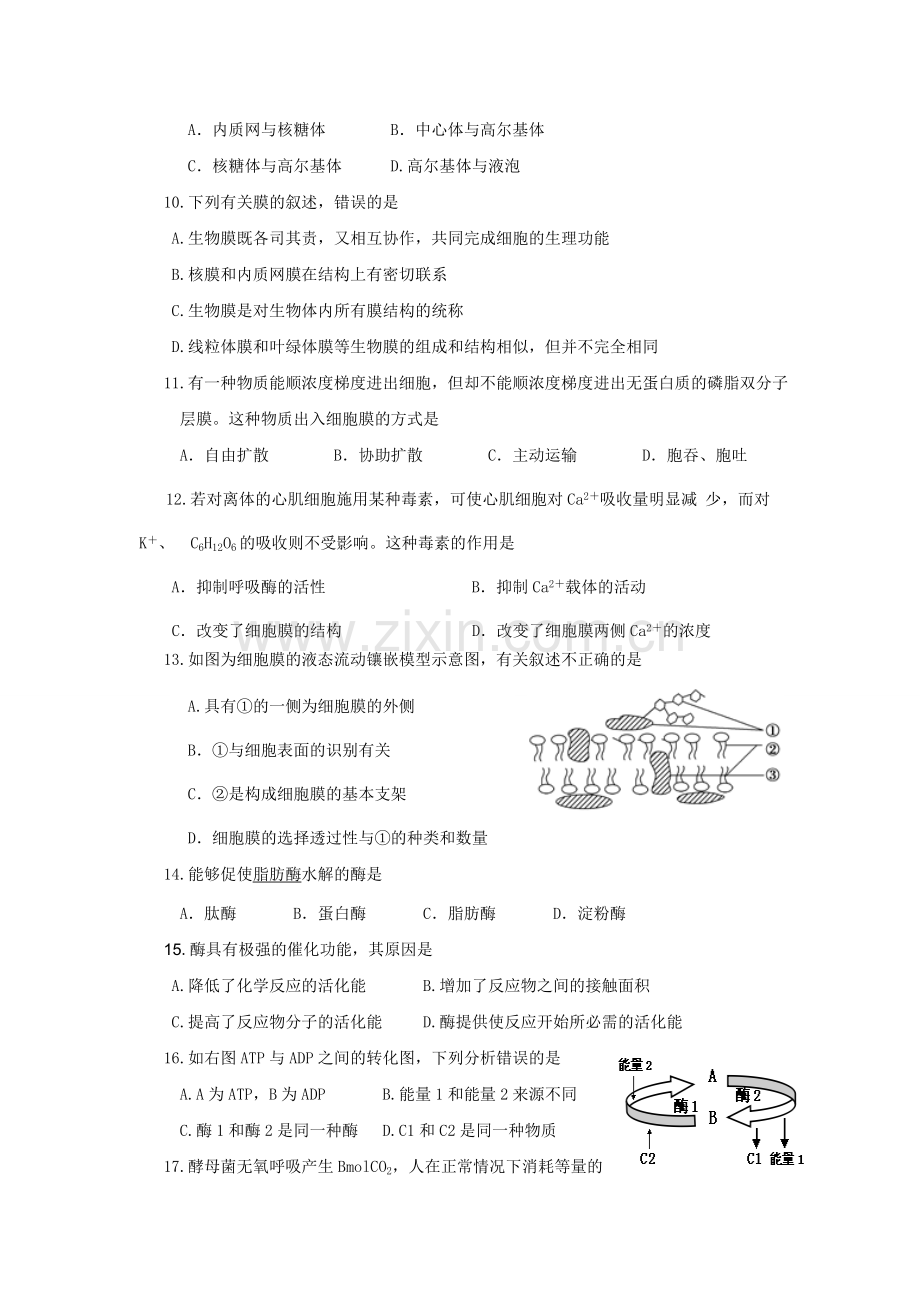 高一期末生物试题.doc_第2页
