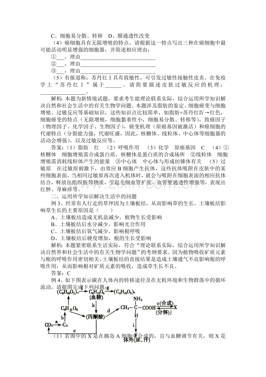 考试大纲中综合运用能力.doc_第2页