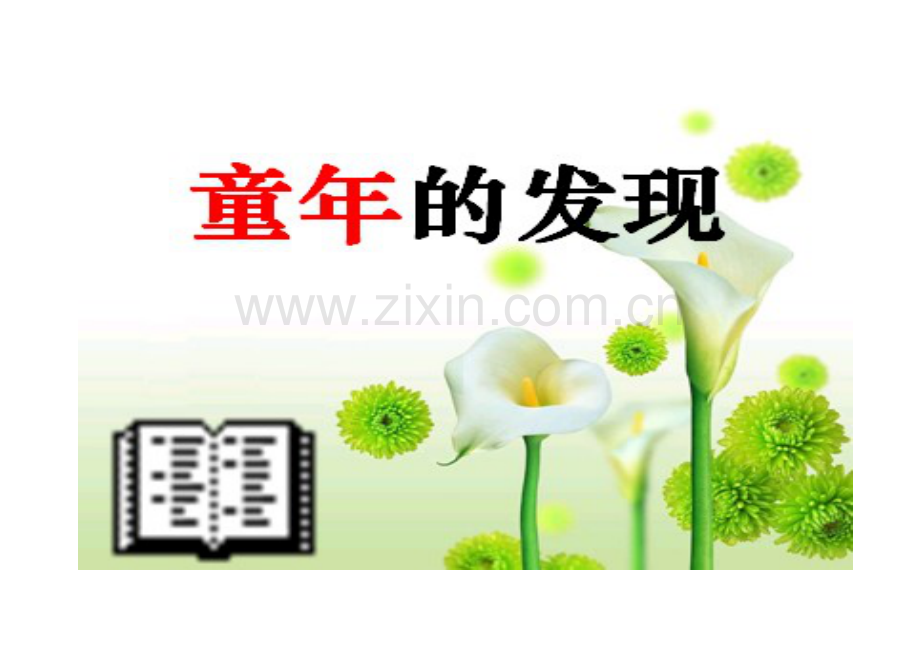 《童年的发现》教学课件.doc_第1页