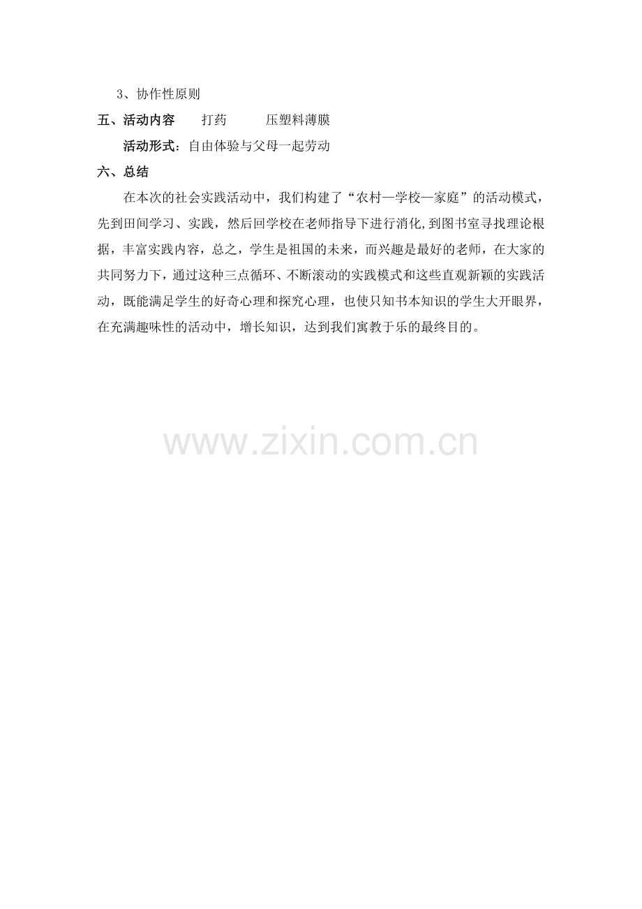 综合实践活动记录.doc_第2页
