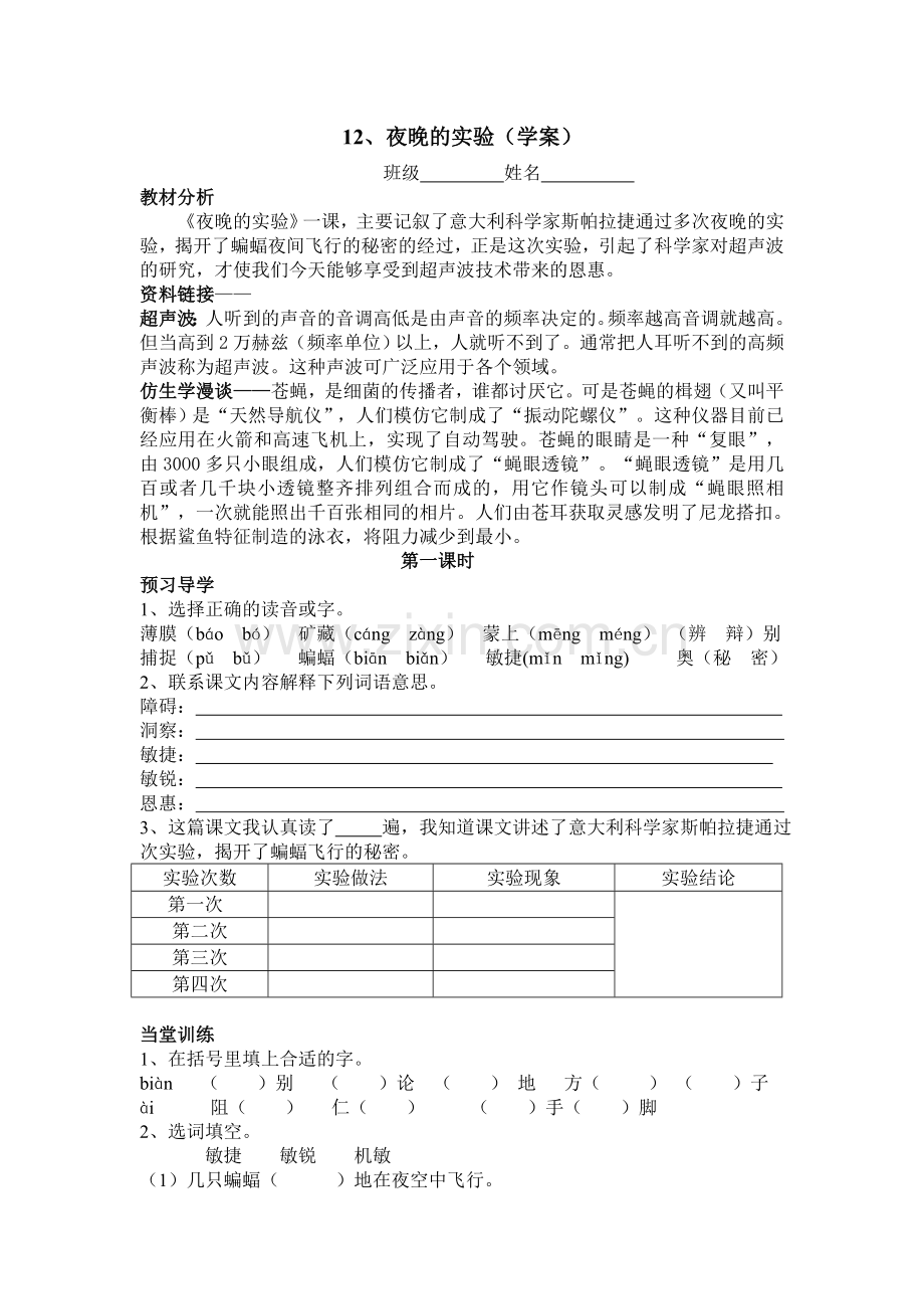 夜晚的实验（学案）.doc_第1页