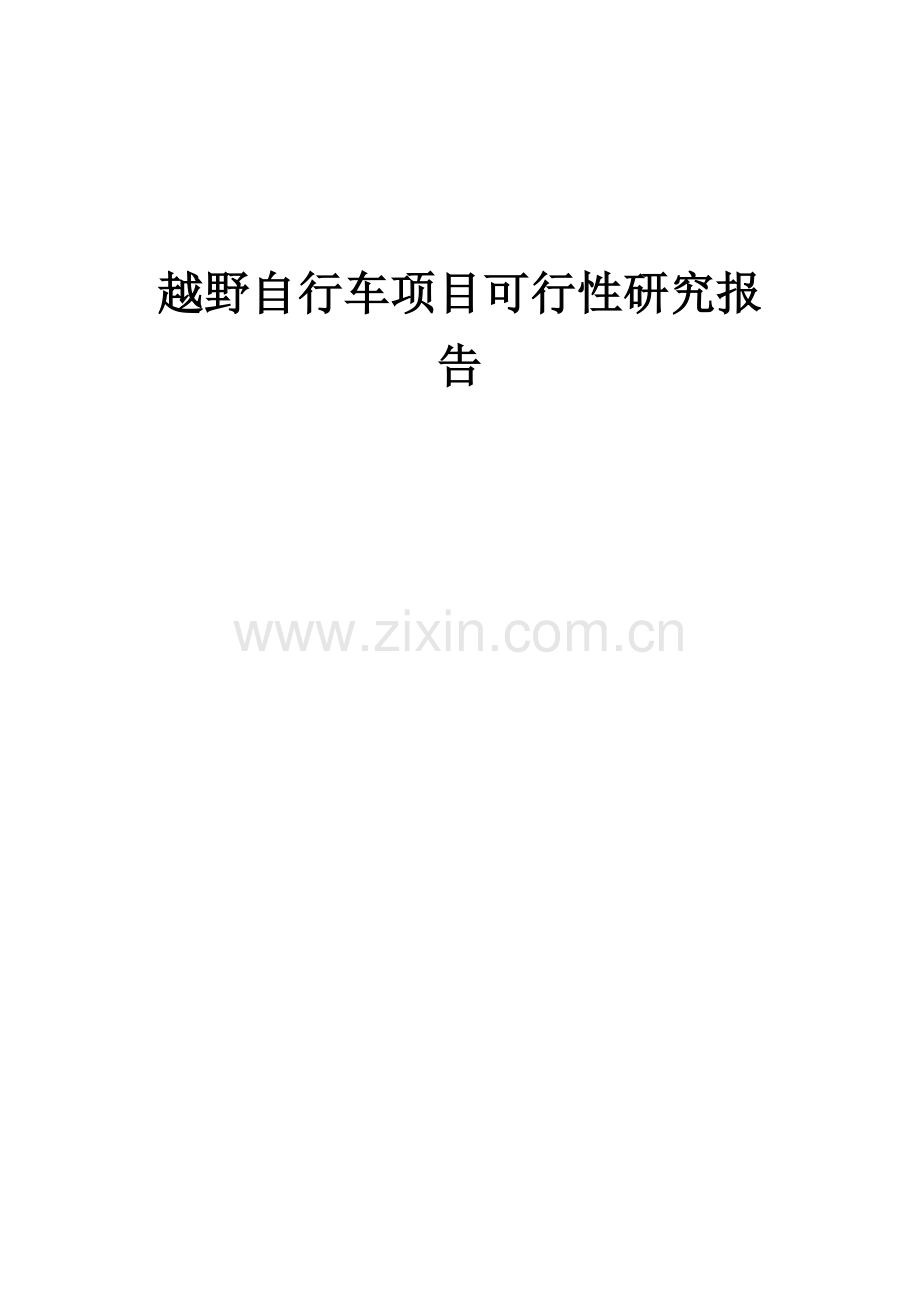 越野自行车项目可行性研究报告.docx_第1页