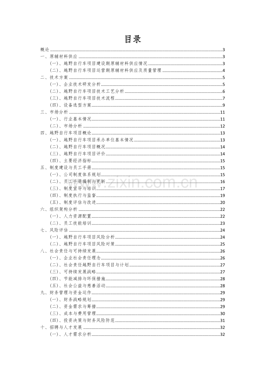 越野自行车项目可行性研究报告.docx_第2页