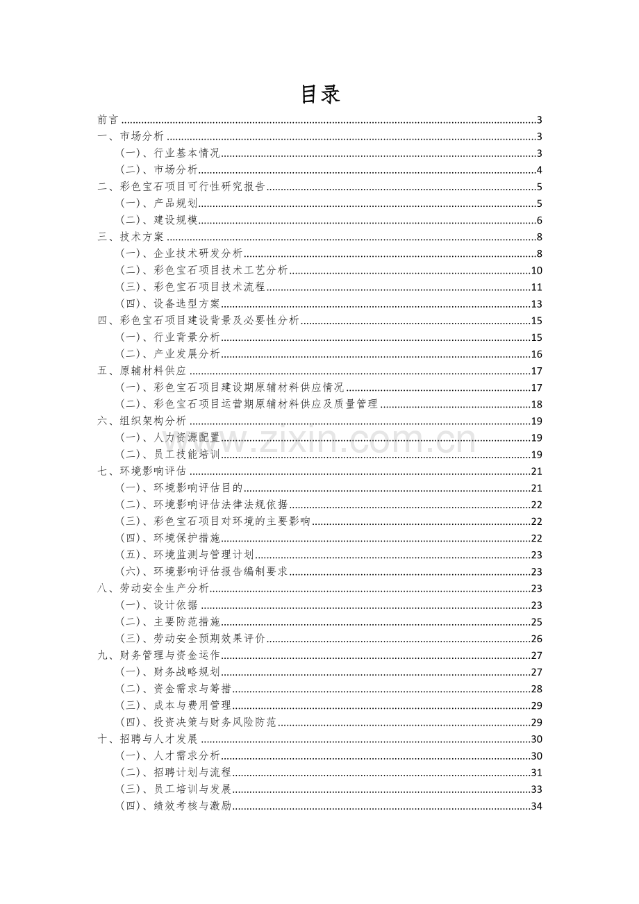 彩色宝石新项目商业计划书.docx_第2页