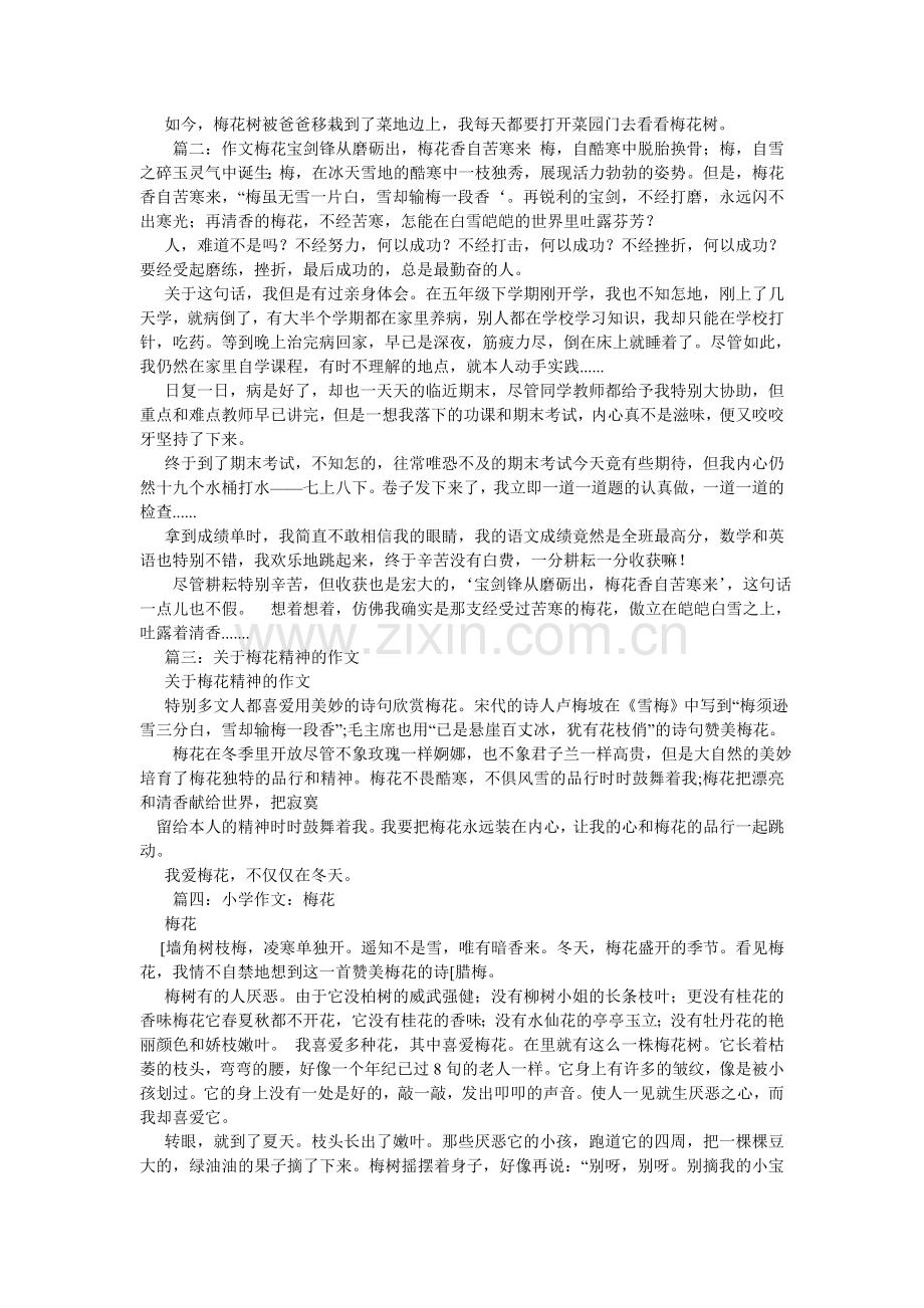 关于梅花精神的作文.doc_第2页
