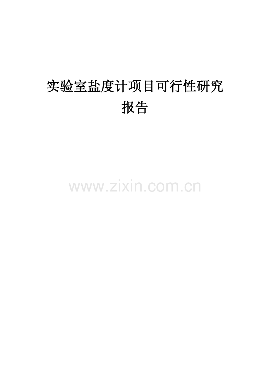 实验室盐度计项目可行性研究报告.docx_第1页