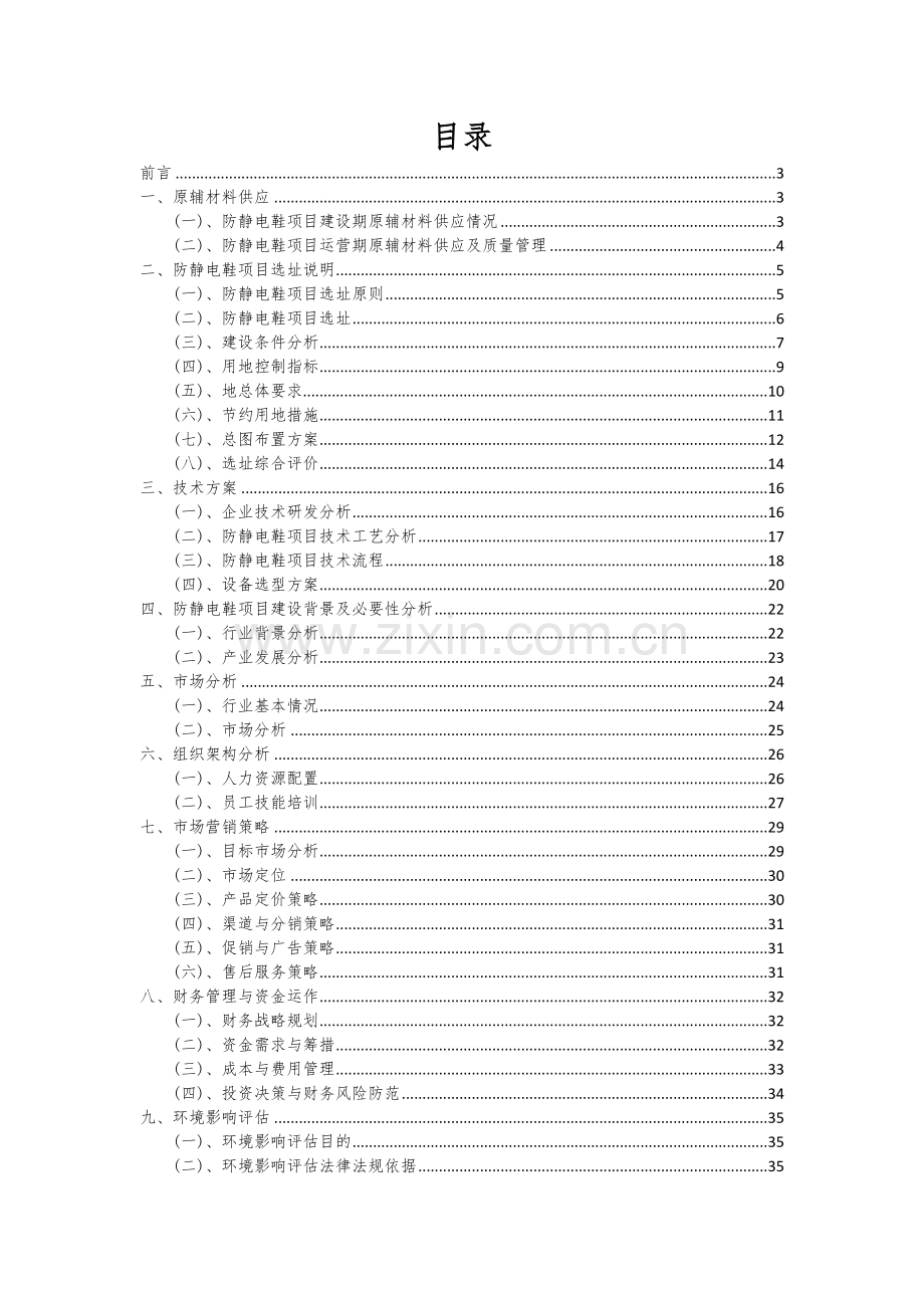 防静电鞋项目可行性分析报告.docx_第2页
