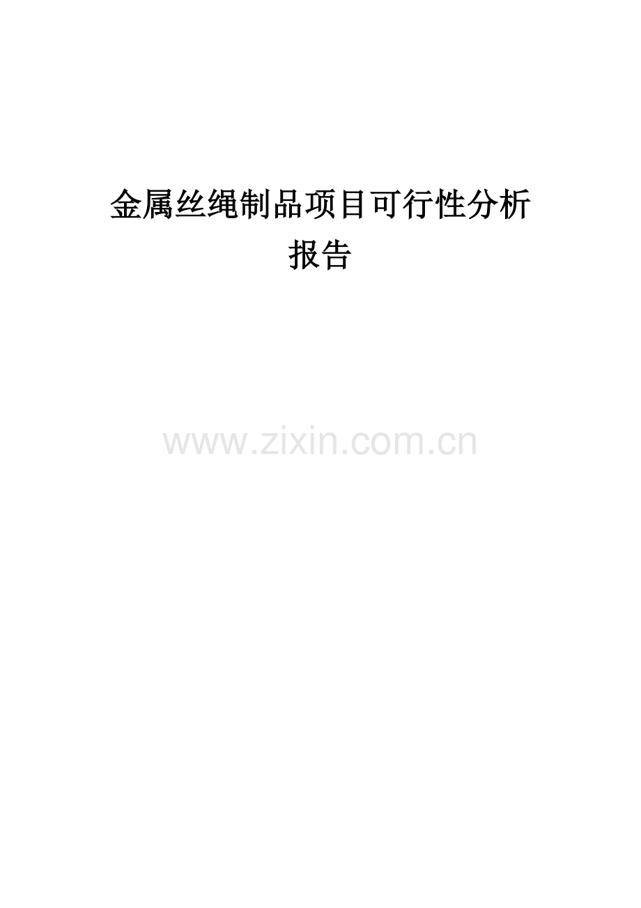 金属丝绳制品项目可行性分析报告.docx_第1页