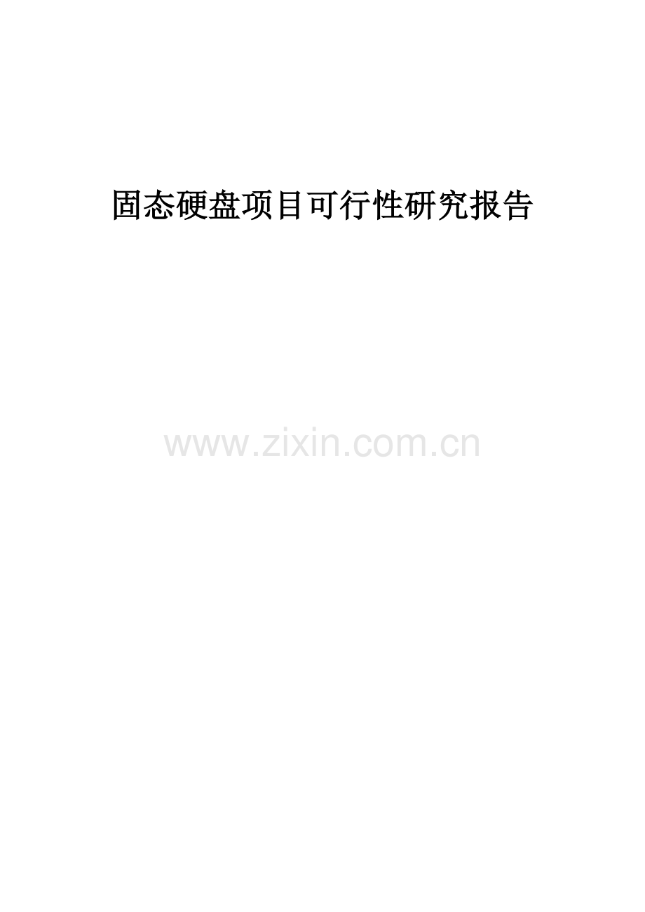 固态硬盘项目可行性研究报告.docx_第1页